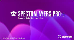 Steinberg SpectraLayers      Pro 10